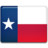 Texas Flag